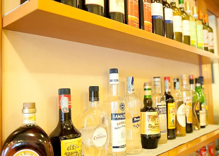 Hotel Dolly Viareggio