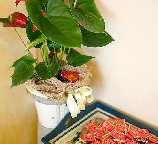 Hotel Dolly Viareggio