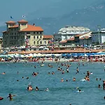 Dolly Viareggio