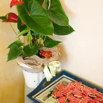 Hotel Dolly Viareggio