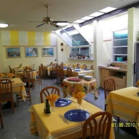 多莉酒店 维亚雷焦